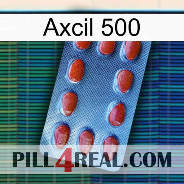 Axcil 500 06.jpg